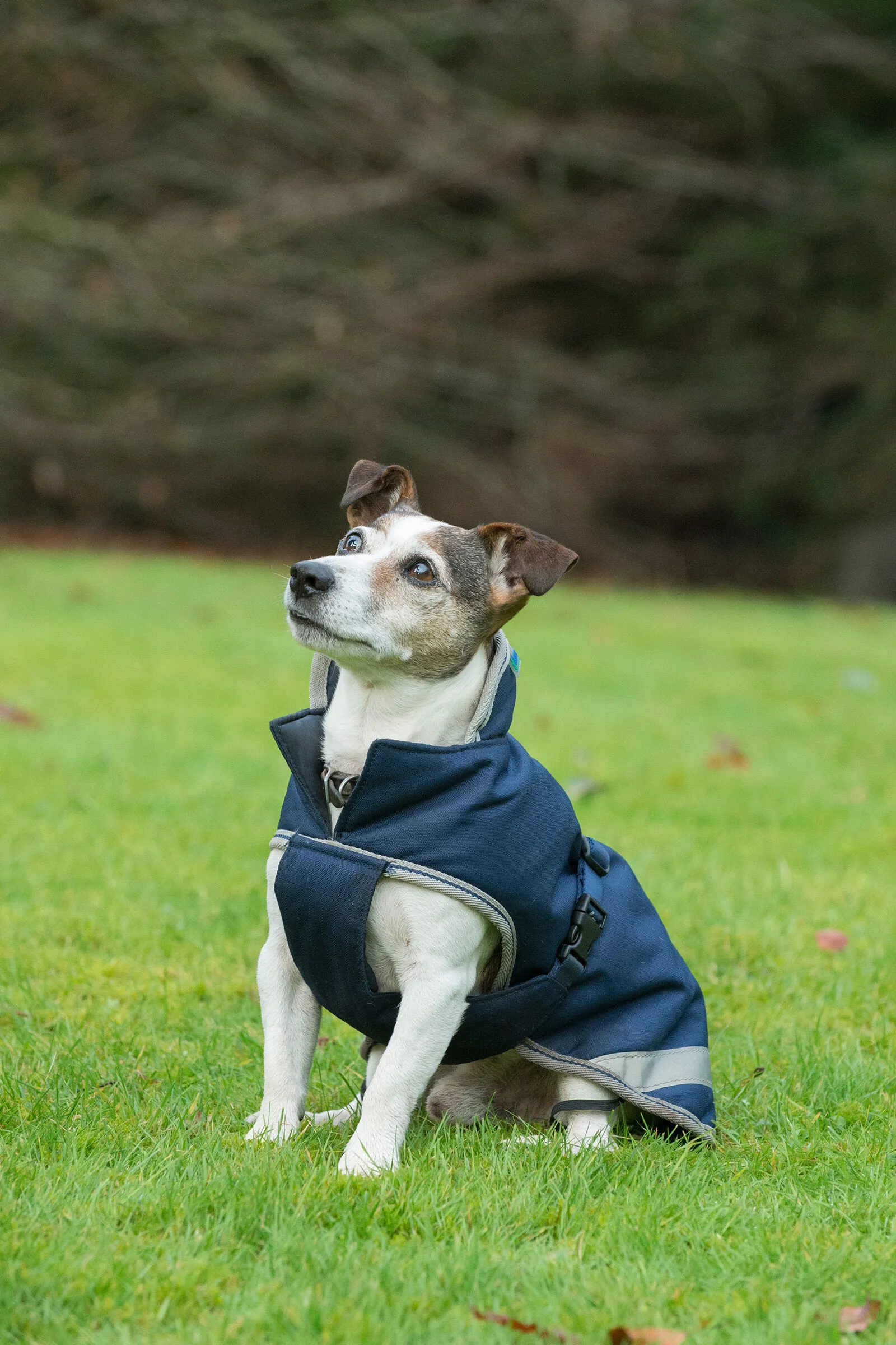 Bucas Couverture Freedom pour chien 50g 30-45