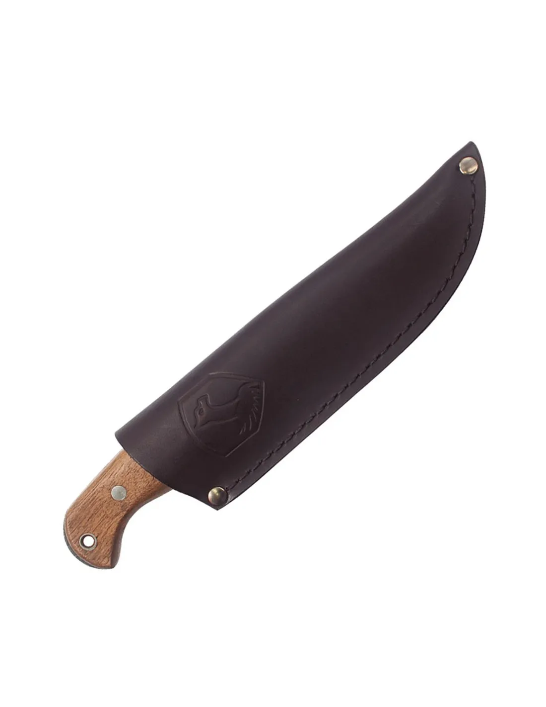 Couteau aventure Condor Finder série de Chemins ⚔️ Boutique Épées