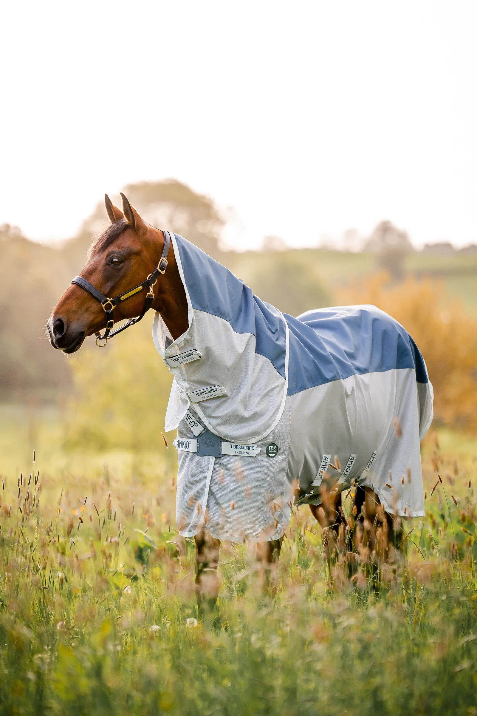Horseware Couverture Amigo Ameco Combi