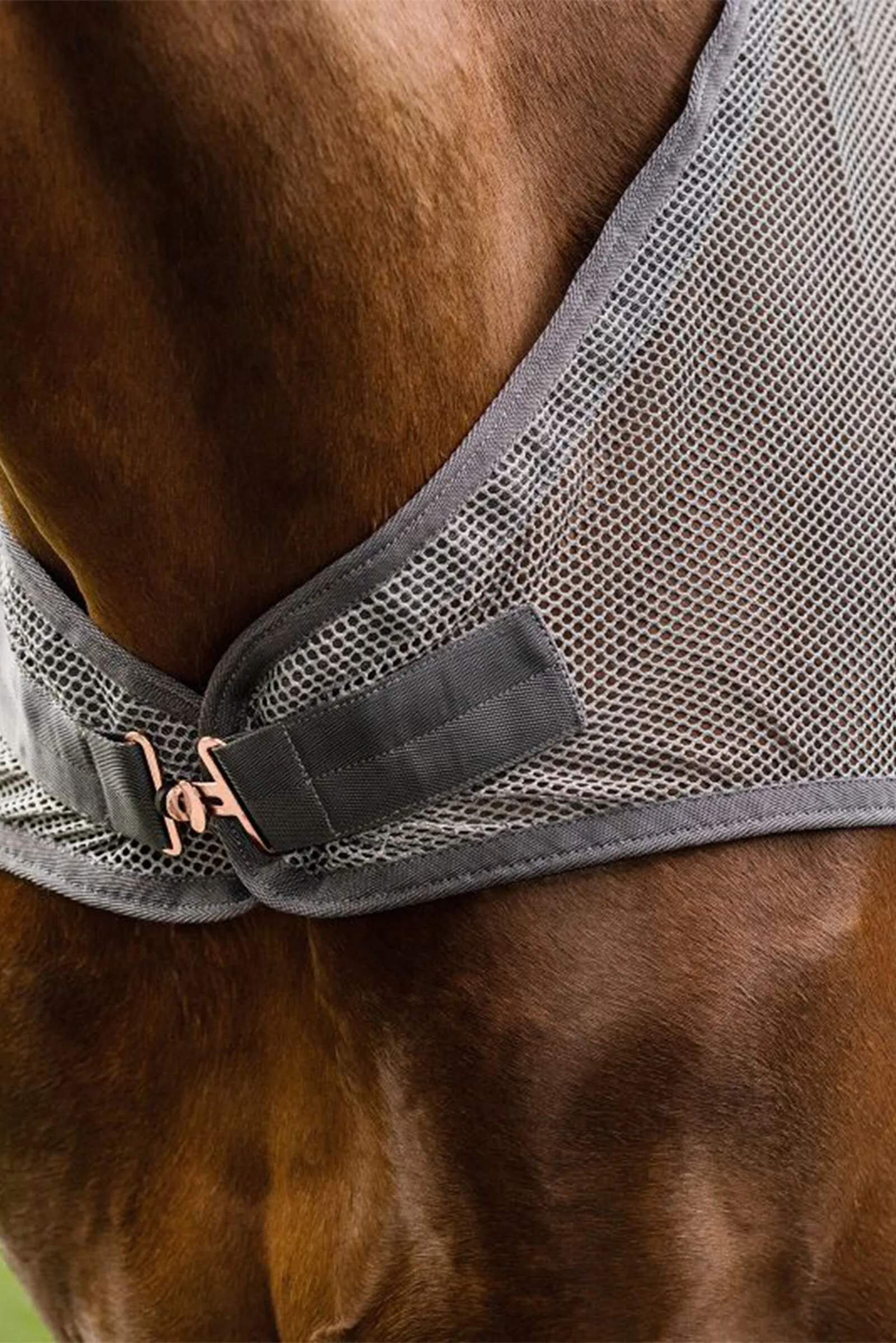 Waldhausen Couverture pour machine de marche pour chevaux volants COMFORT de