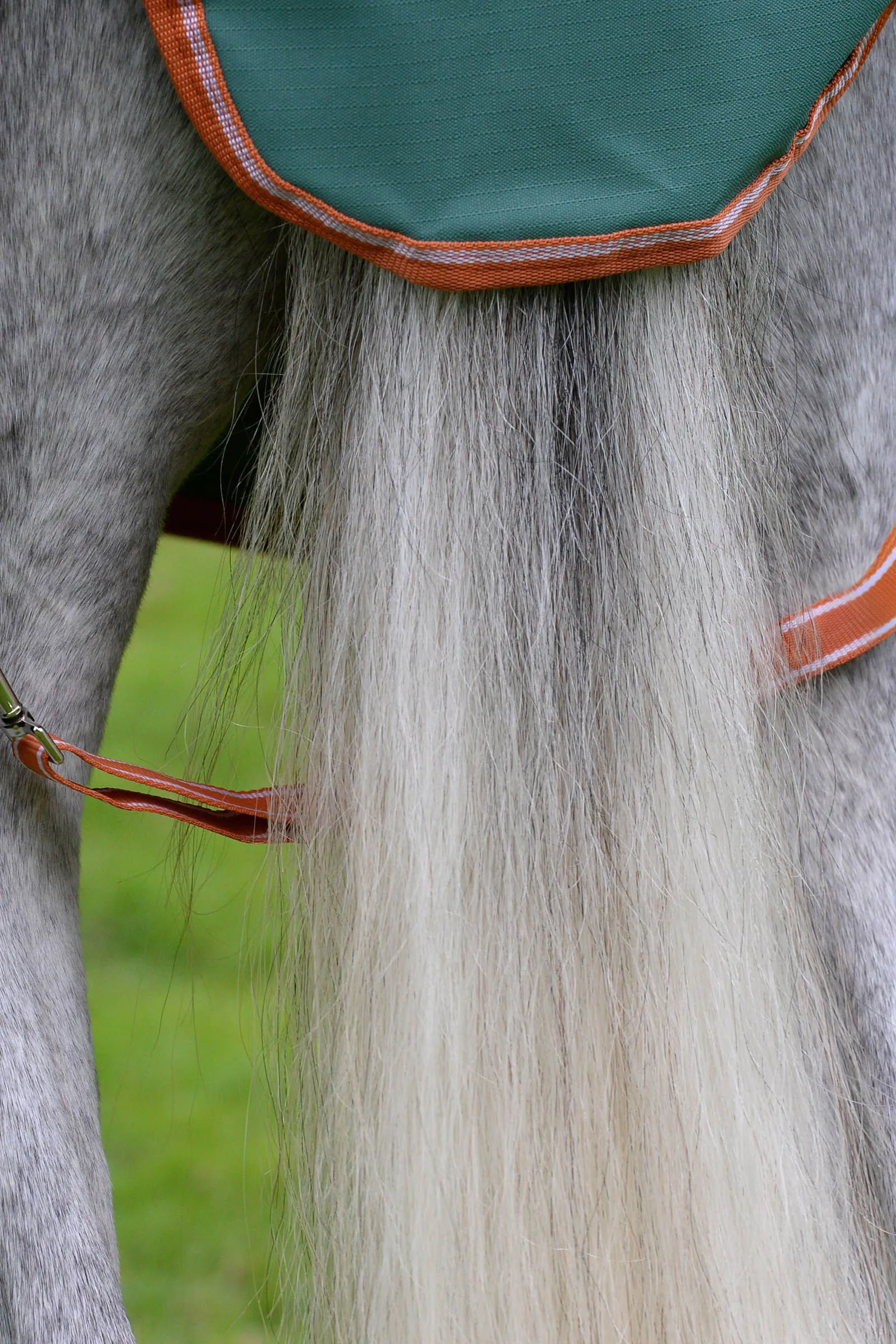 Weatherbeeta Comfitec Tyro Couverture cheval avec col intégré, 50 g
